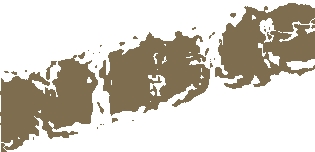 nbg
